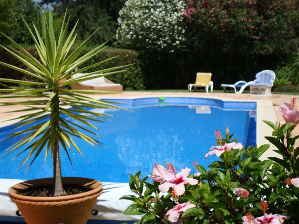 Cost of Pool Terrace Renovation in Saratoga Springs